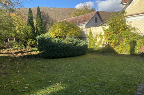 Photo 24 - Appartement de 1 chambre à Aggsbach avec jardin