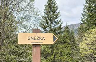 Foto 25 - Appartamento con 1 camera da letto a Pec pod Sněžkou