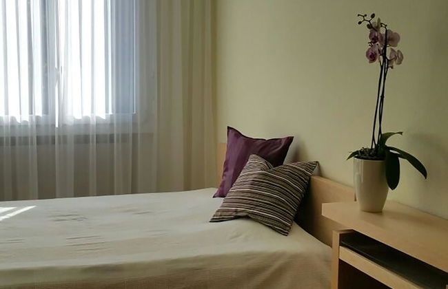 Apartamento de 2 quartos em Engelberg - Foto 6