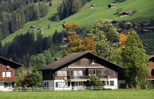 Apartamento de 1 quarto em Lenk - Foto 1