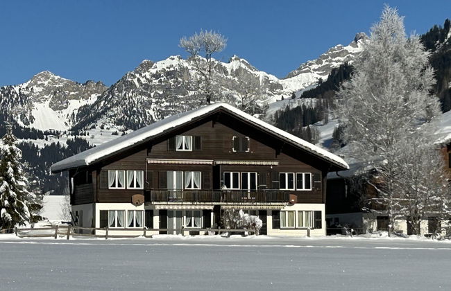 Apartamento de 1 quarto em Lenk - Foto 6