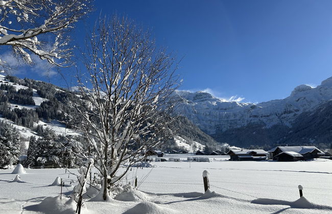 Apartamento de 1 quarto em Lenk - Foto 11