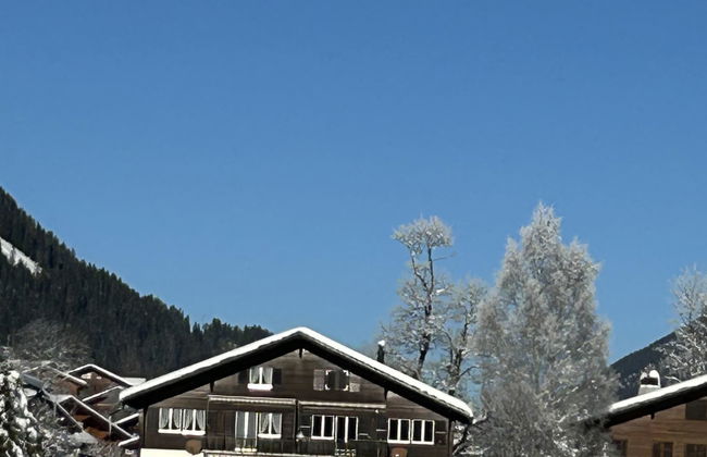 Apartamento de 1 quarto em Lenk - Foto 7