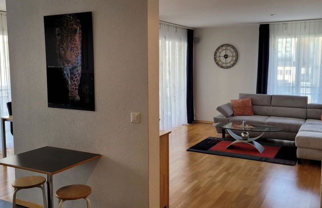 Apartamento de 1 quarto em Engelberg - Foto 8