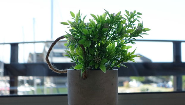 Appartamento con 3 camere da letto a Deauville - Foto 5