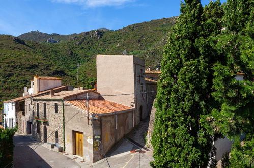 Photo 16 - 2 bedroom Apartment in El Port de la Selva with garden and sea view