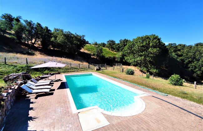 Casa de 1 quarto em Scansano com piscina privada e jardim - Foto 12