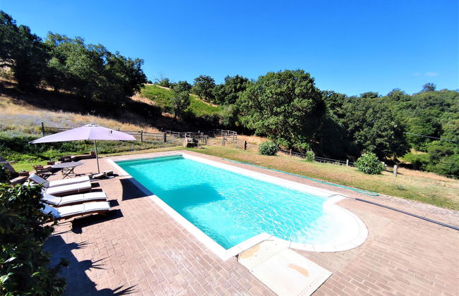 Casa de 1 quarto em Scansano com piscina privada e jardim - Foto 11
