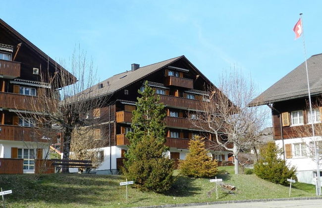 Apartamento de 1 quarto em Saanen - Foto 2