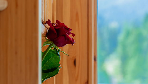 1 bedroom Apartment in Nendaz - Photo 4