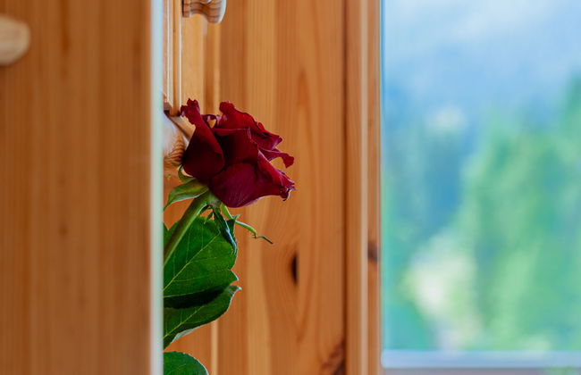 1 bedroom Apartment in Nendaz - Photo 4