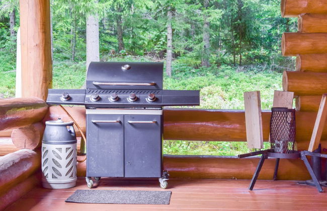 Casa con 3 camere da letto a Ikaalinen con sauna - Foto 23