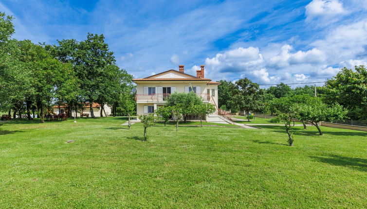 Foto 1 - Apartamento de 1 quarto em Žminj com piscina e jardim