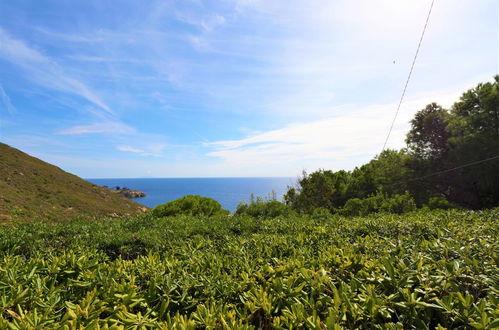 Foto 4 - Casa de 2 habitaciones en Capoliveri con jardín y vistas al mar