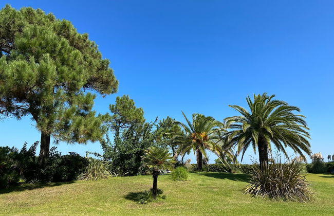 Casa de 3 quartos em Borgo com jardim e terraço - Foto 18