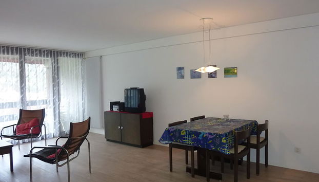 Apartamento de 2 quartos em Engelberg - Foto 5