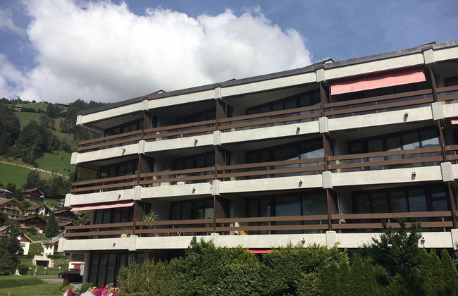 Apartamento de 2 quartos em Engelberg - Foto 1