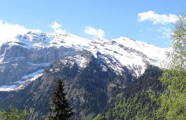 Apartamento de 2 quartos em Engelberg - Foto 8
