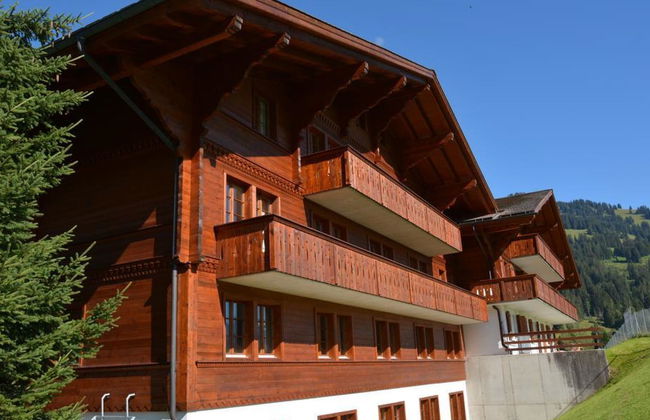 6 bedroom Apartment in Saanen - Photo 1