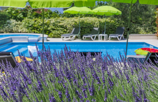 Casa de 9 quartos em Buje com piscina privada e jardim - Foto 6