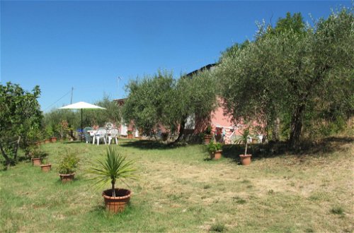 Foto 32 - Casa de 2 habitaciones en Certaldo con piscina y jardín