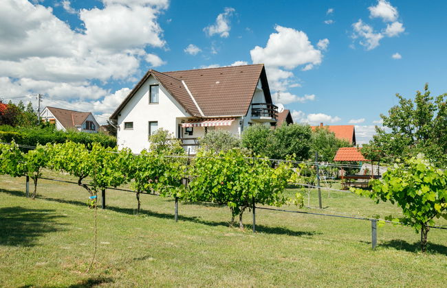 Casa de 4 quartos em Balatonalmádi com piscina privada e jardim - Foto 34