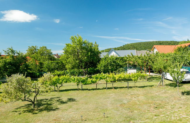 Casa de 4 quartos em Balatonalmádi com piscina privada e jardim - Foto 36