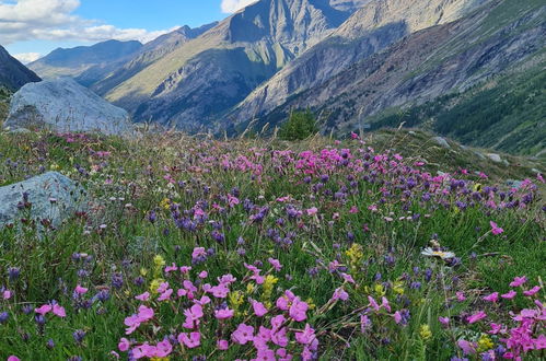 Photo 23 - 2 bedroom Apartment in Saas-Grund with garden