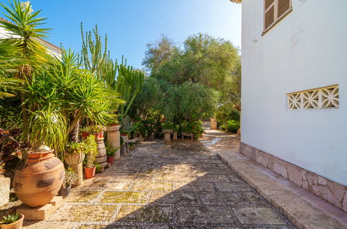 Foto 19 - Casa con 3 camere da letto a Manacor con giardino e terrazza