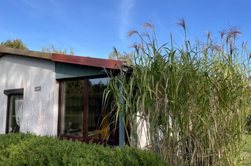 Photo 20 - Maison de 1 chambre à Dobbertin avec terrasse