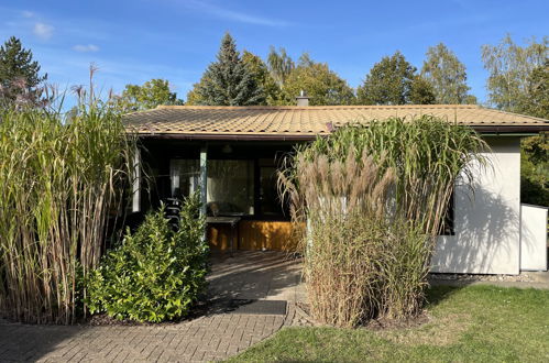 Photo 19 - Maison de 1 chambre à Dobbertin avec jardin et terrasse