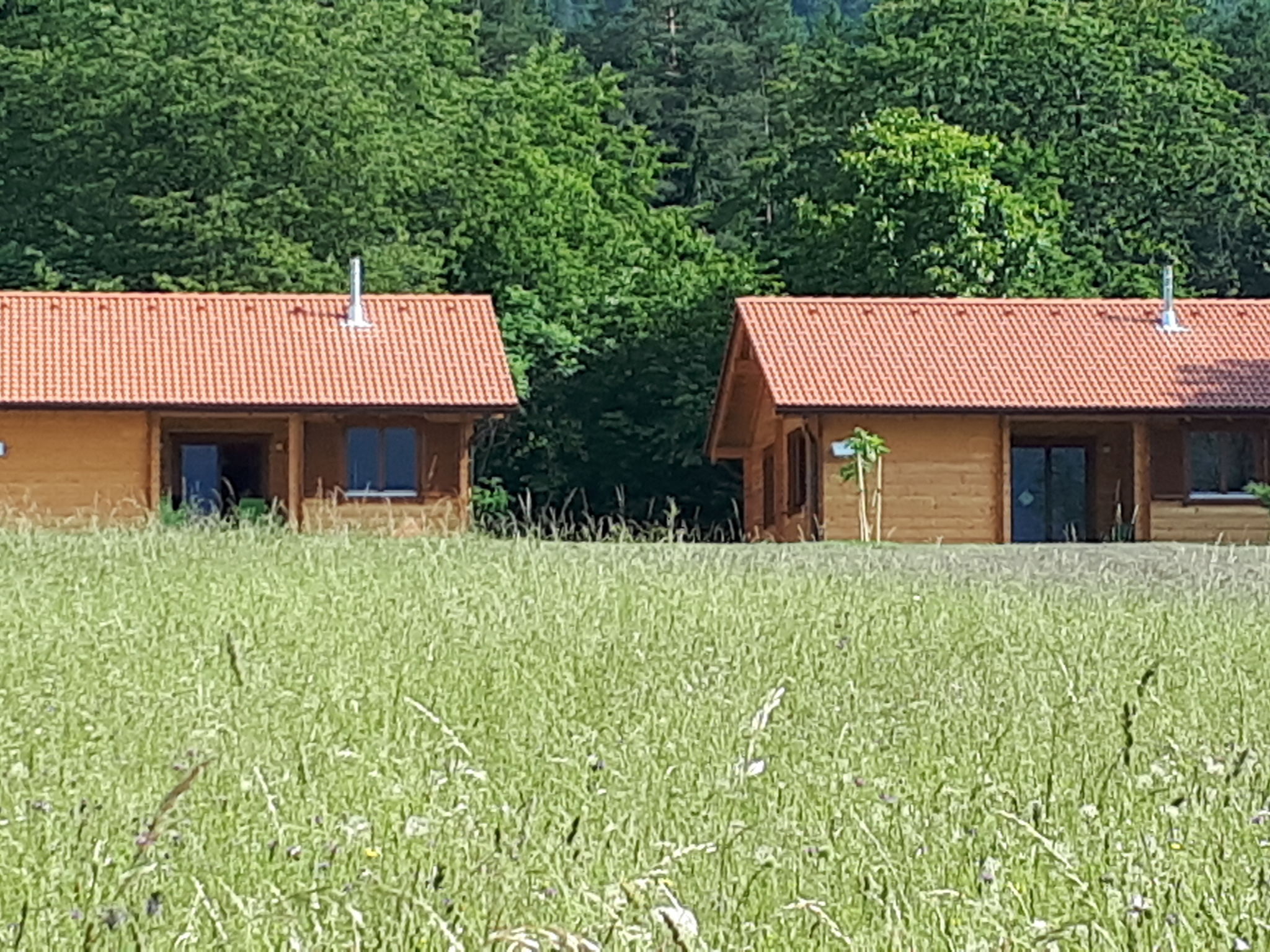 Photo 27 - Maison de 2 chambres à Hermagor-Pressegger See avec vues sur la montagne