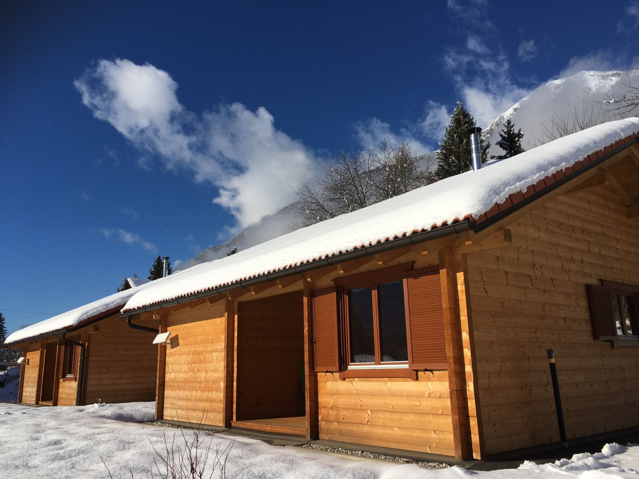 Foto 30 - Haus mit 2 Schlafzimmern in Hermagor-Pressegger See mit blick auf die berge