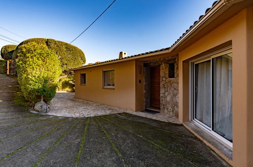 Foto 13 - Casa de 7 quartos em Zonza com piscina privada e jardim