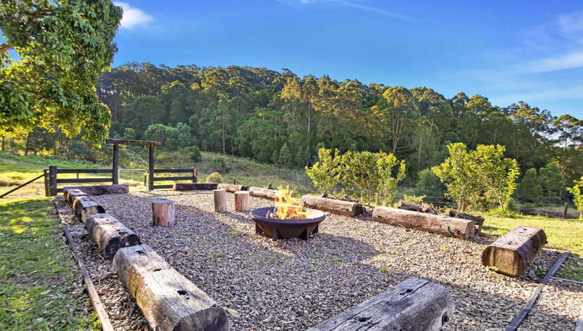 Kin Kin Farm - Foto 3