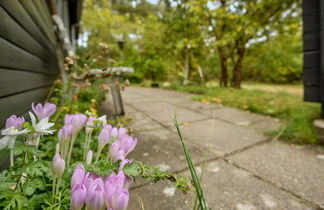 Foto 2 - Haus mit 2 Schlafzimmern in Rømø mit terrasse