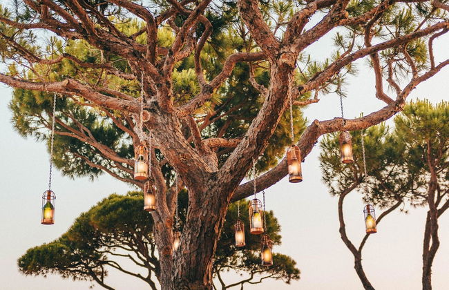 Pine Cliffs Hotel, A Luxury Collection Resort, Alg - Foto 68