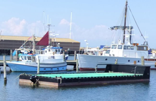 "Line" - 10m from the sea - Foto 5