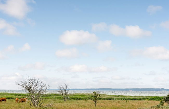 "Bernadete" - 50m to the fjord - Foto 3