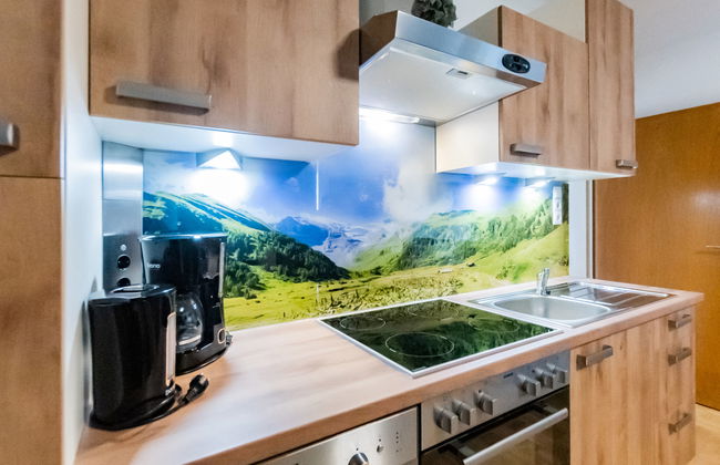 Apartamento de 2 quartos em Taxenbach com jardim - Foto 2