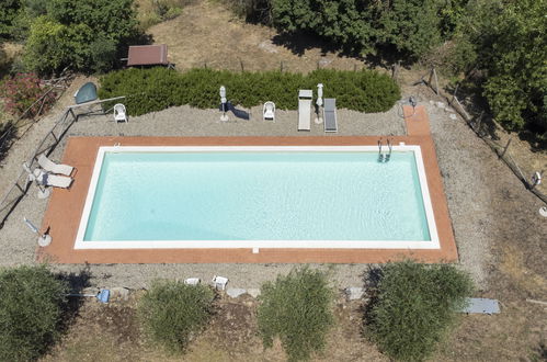 Foto 22 - Appartamento con 2 camere da letto a Castellina in Chianti con piscina e giardino