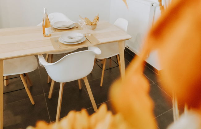 Apartamento de 1 quarto em Blankenberge com jardim e terraço - Foto 16