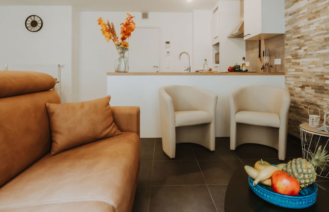 Apartamento de 1 quarto em Blankenberge com jardim e terraço - Foto 8