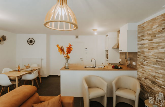 Apartamento de 1 quarto em Blankenberge com jardim e terraço - Foto 11