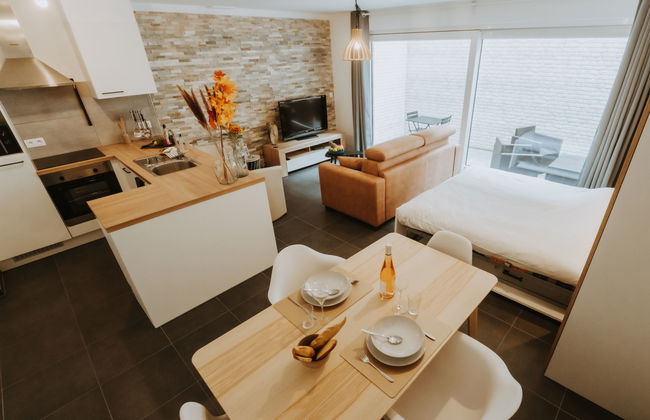 Apartamento de 1 quarto em Blankenberge com jardim e terraço - Foto 2