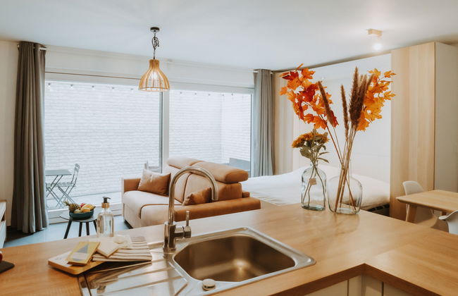 Apartamento de 1 quarto em Blankenberge com jardim e terraço - Foto 3