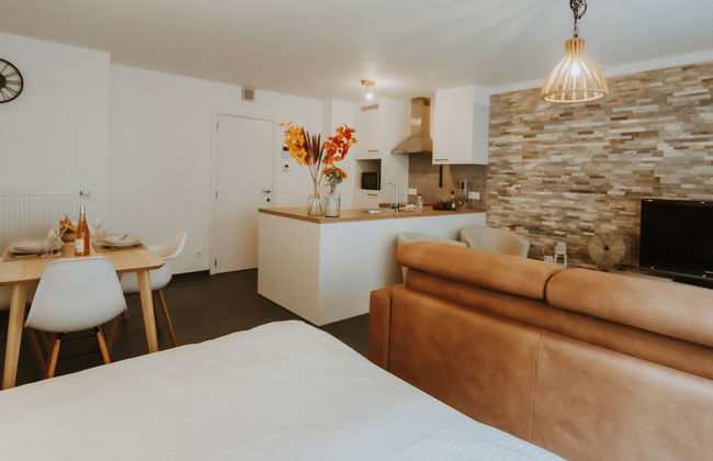 Apartamento de 1 quarto em Blankenberge com jardim e terraço - Foto 22