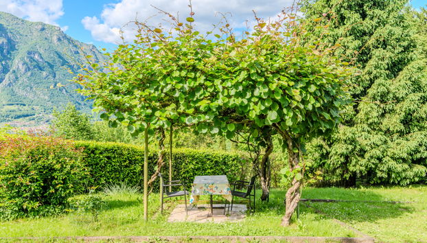 Haus mit 2 Schlafzimmern in Claino con Osteno mit garten und terrasse - Foto 3