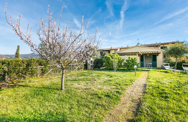Apartamento de 2 quartos em Santa Luce com piscina e jardim - Foto 28