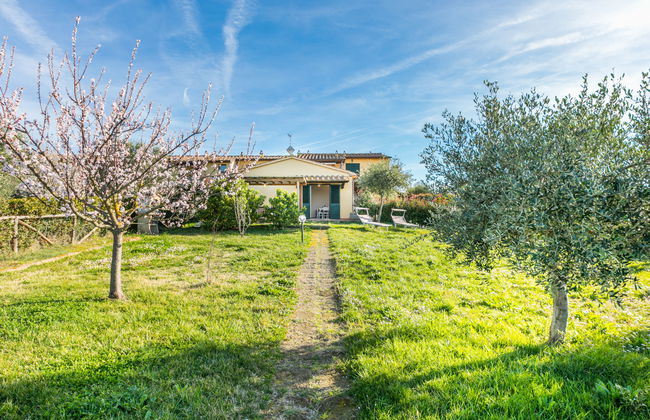 Apartamento de 2 quartos em Santa Luce com piscina e jardim - Foto 1